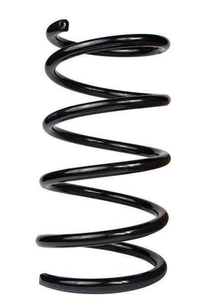 Пружина передня Raiso (Швеція) Hyundai Santa Fe II, Хюндай Санта Фе 2 2006-2012 #SF102TP UAZZUUB4 SF102TP фото