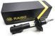 Амортизатор передній Raiso (Швеція) Фольксваген Пассат Б4 Volkswagen Passat B4 #RS170160 UAZBCBZ4 RS170160 фото 1