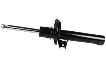 Амортизатор передній Raiso (Швеція) VW Golf 5 (унів.)/Touran/Octavia А5 (55mm) #RS317572 UAOXWGP4 RS317572 фото