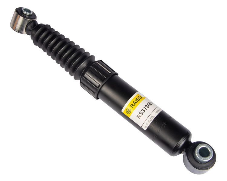 Амортизатор задній Raiso (Швеція) Peugeot 206/206+, Пежо 206/206+ 98- #RS313051 UAJLWBB4 RS313051 фото