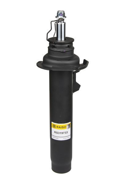 Амортизатор передній Raiso (Швеція) BMW 3 (F30/F80), БМВ 3 #RS319733 UAYWVXZ4 RS319733 фото
