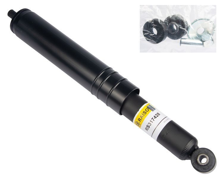 Амортизатор задній Raiso (Швеція) Daewoo Lanos Део Ланос #RS317428 UAFMTDR4 RS317428 фото