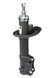 Амортизатор передній Raiso (Швеція) Volkswagen Golf 2, Фольксваген Гольф 2 #RS115158 UAILVLU4 RS115158 фото 3