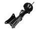 Амортизатор задній Raiso (Швеція) Alfa Romeo 147, Альфа Ромео 147 01-10 #RS557957 UAGMJYN4 RS557957 фото 1