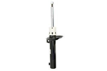 Амортизатор передній Raiso (Швеція) Audi TT, Ауді ТТ 06-18 #RS317581 UARXQEJ4 RS317581 фото