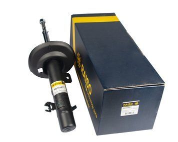 Амортизатор передній правий Raiso (Швеція) Peugeot 208 (51 mm), Пежо 208 12-19 #RS315877 UAPZFIG4 RS315877 фото
