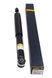 Амортизатор задній Raiso (Швеція) Honda Civic 8 Хонда Цивік 8 #RS317351 UAJCXXC4 RS317351 фото 1