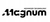 MAGNUM TECHNOLOGY