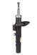 Амортизатор передній лівий Raiso (Швеція) Peugeot 207 (47 mm), Пежо 207 06- #RS313671 UAETDJB4 RS313671 фото 3