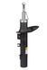 Амортизатор передній лівий Raiso (Швеція) Peugeot 207 (51 mm), Пежо 207 06- #RS313679 UATDWXQ4 RS313679 фото 3