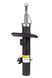 Амортизатор передній правий Raiso (Швеція) Peugeot 207 (51 mm), Пежо 207 06- #RS313681 UATDWXQ4 RS313681 фото 3