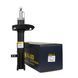 Амортизатор передній лівий Raiso (Швеція) Fiat Freemont, Фіат Фрімонт 11- #RS315641 UAVXSLO4 RS315641 фото 1
