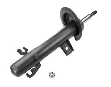 Амортизатор передній правий Raiso (Швеція) Mini Cooper R50, Міні Купер Р50 01-06 #RS290236 UAXTHCV4 RS290236 фото