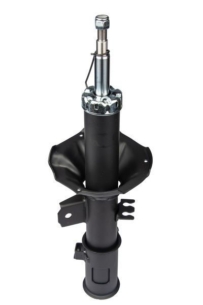 Амортизатор передній правий Raiso (Швеція) Hyundai Getz, Хюндай Гетц 02-10 #RS317599 UAODEQD4 RS317599 фото