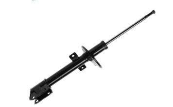 Амортизатор задній Raiso (Швеція) Рено Дастер Ranault Duster #RS315361 UAPYGTI4 RS316290 фото