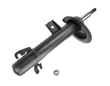 Амортизатор передній лівий Raiso (Швеція) Mini Cooper R52, Міні Купер Р52 04-08 #RS290237 UAWDRGT4 RS290237 фото